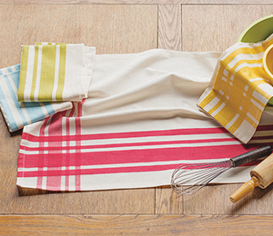 Ecologie Dishtowels